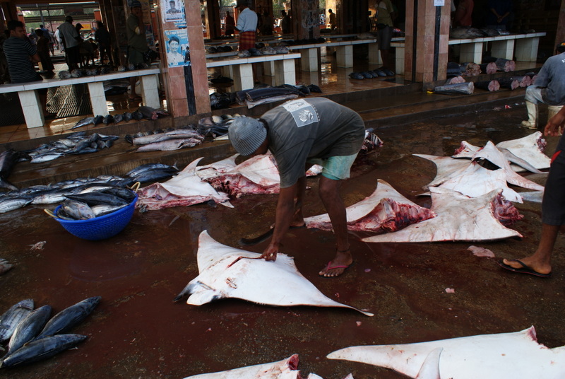 Fish market
