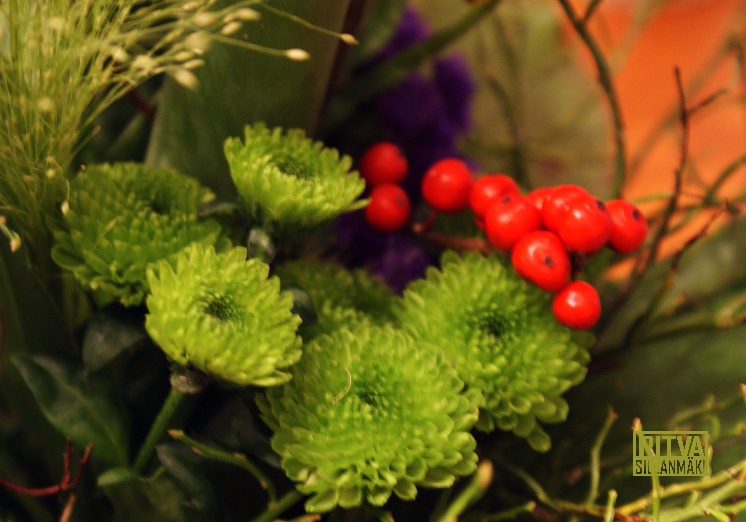 orange green, purple