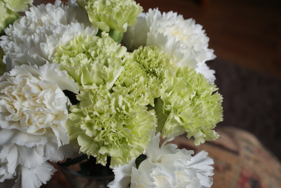 carnations