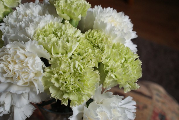 carnations