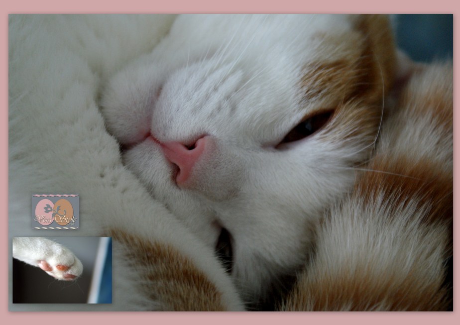 Hiljattain päivitetty67