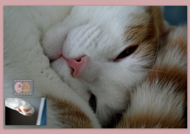 Hiljattain päivitetty67