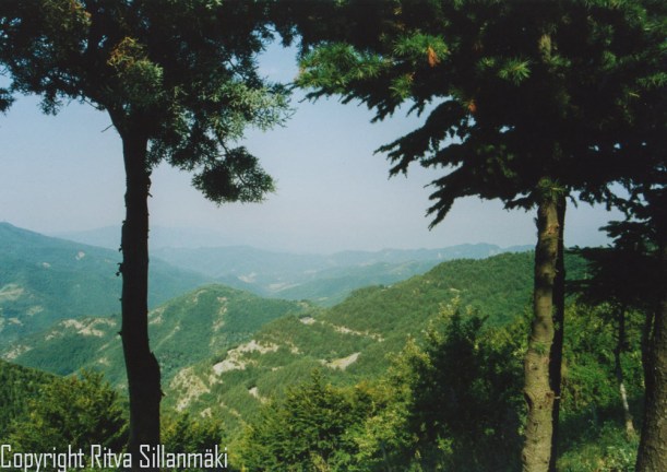 20130416-Firenze 002-002