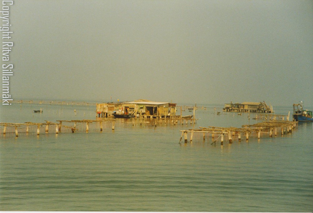 20130416-venice 002 - Copy