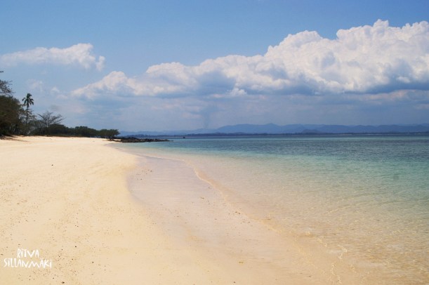 KONICA MINOLTA DIGITAL CAMERA