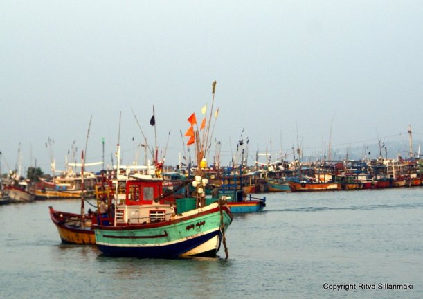 Colorful fishing boats in Sri Lanka