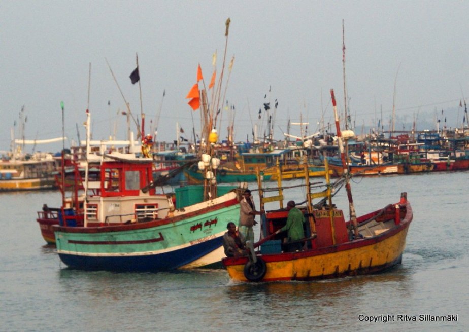 Colorful fishing boats in Sri Lanka