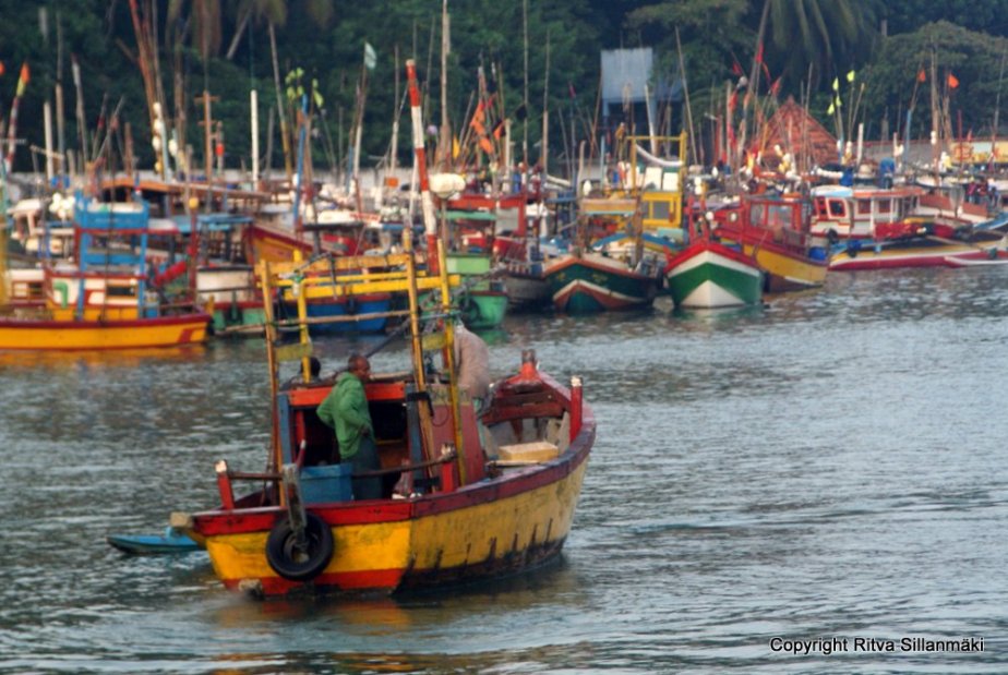 Colorful fishing boats in Sri Lanka