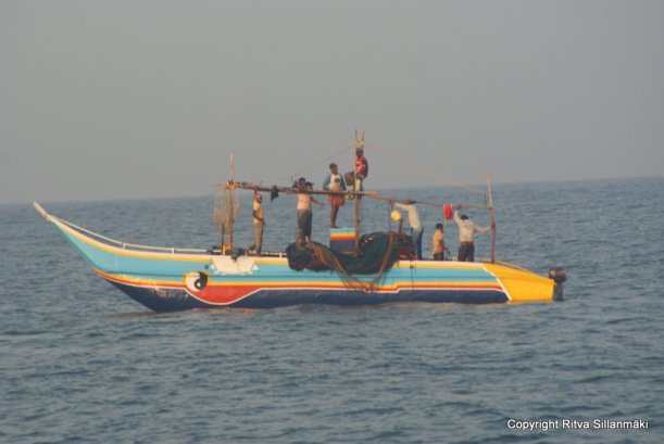 Colorful fishing boats in Sri Lanka