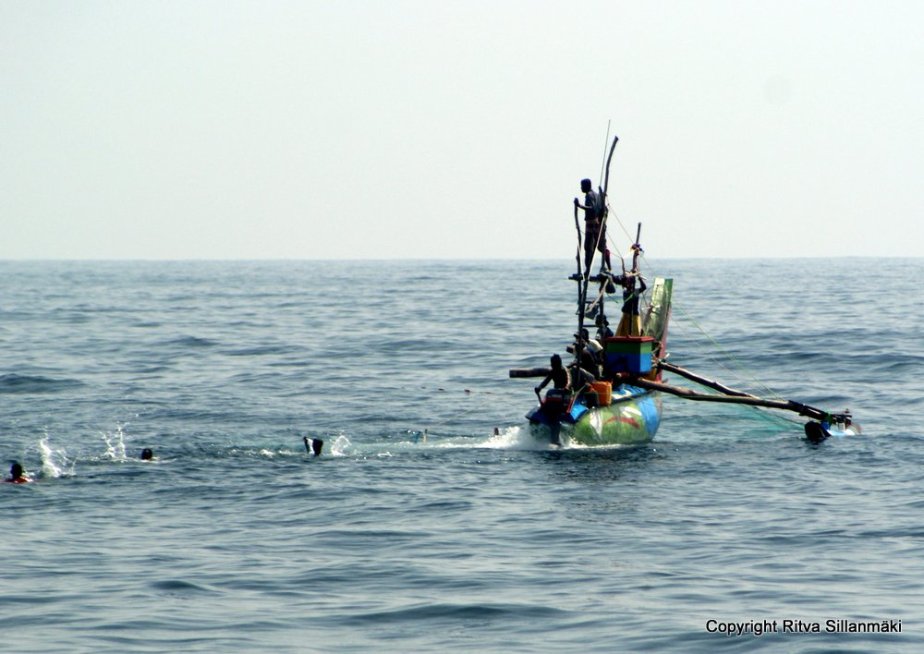 Colorful fishing boats in Sri Lanka