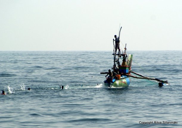 Colorful fishing boats in Sri Lanka