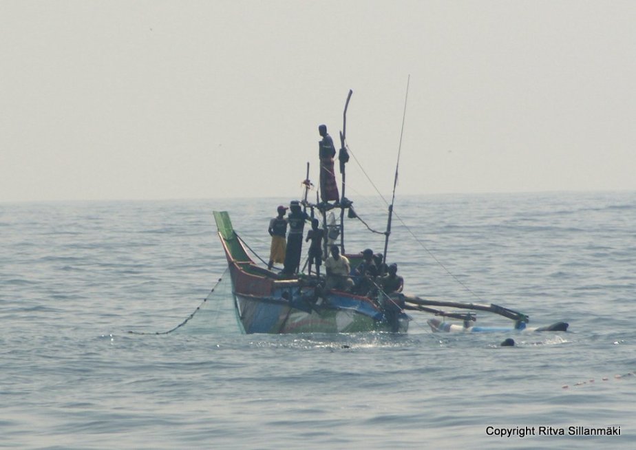 Colorful fishing boats in Sri Lanka