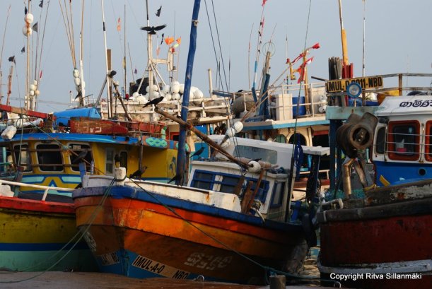 Colorful fishing boats in Sri Lanka