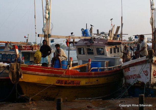 Colorful fishing boats in Sri Lanka
