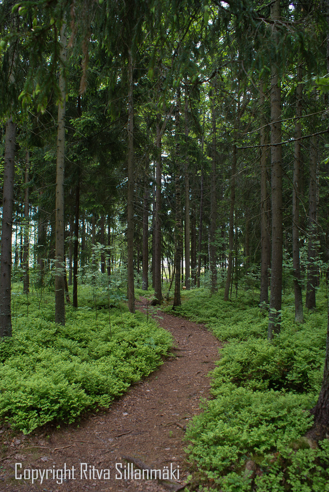 Which path should I&nbsp;follow…