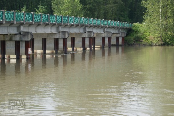 Cancouver, Stanley park-102