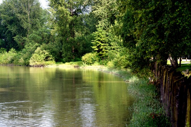 Cancouver, Stanley park-114