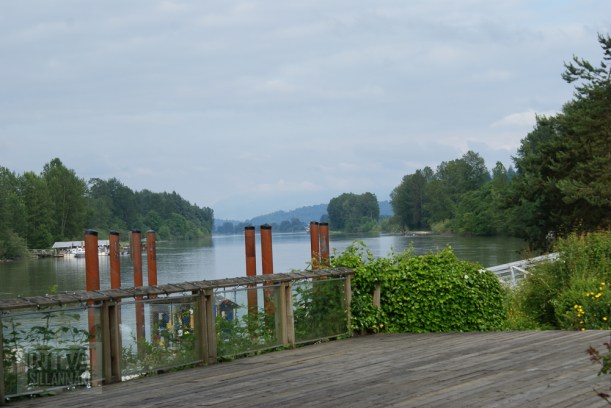 Cancouver, Stanley park-99