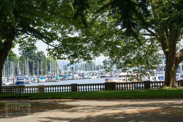 Vancouver, Stanley park-147
