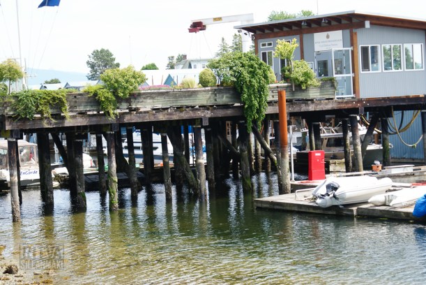 Vancouver, Stanley park-153