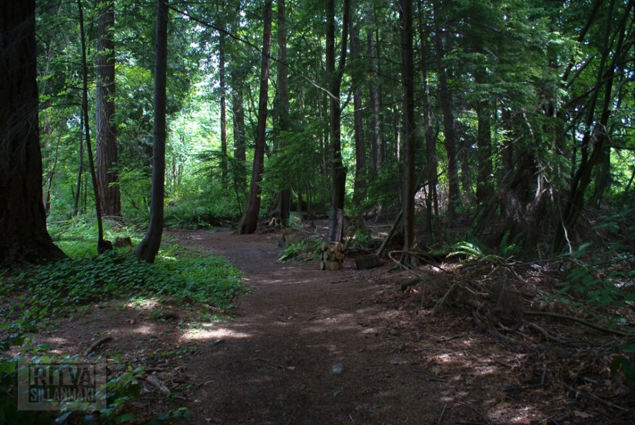 Vancouver, Stanley park-199