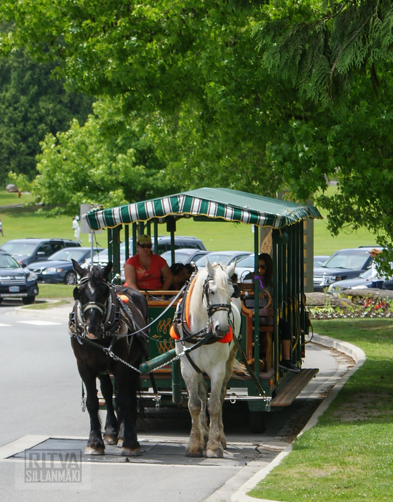 Vancouver, Stanley park-210