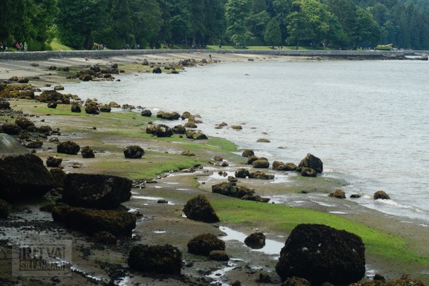 Vancouver, Stanley park-261