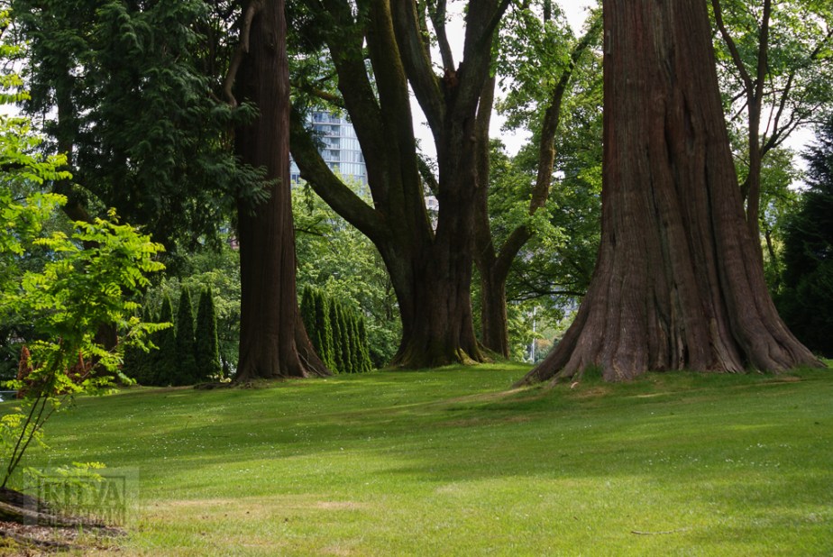 Vancouver, Stanley park-293