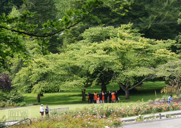 Vancouver, Stanley park-294