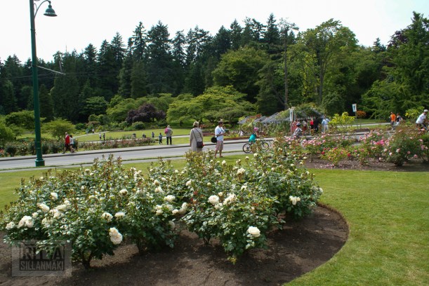 Vancouver, Stanley park-320
