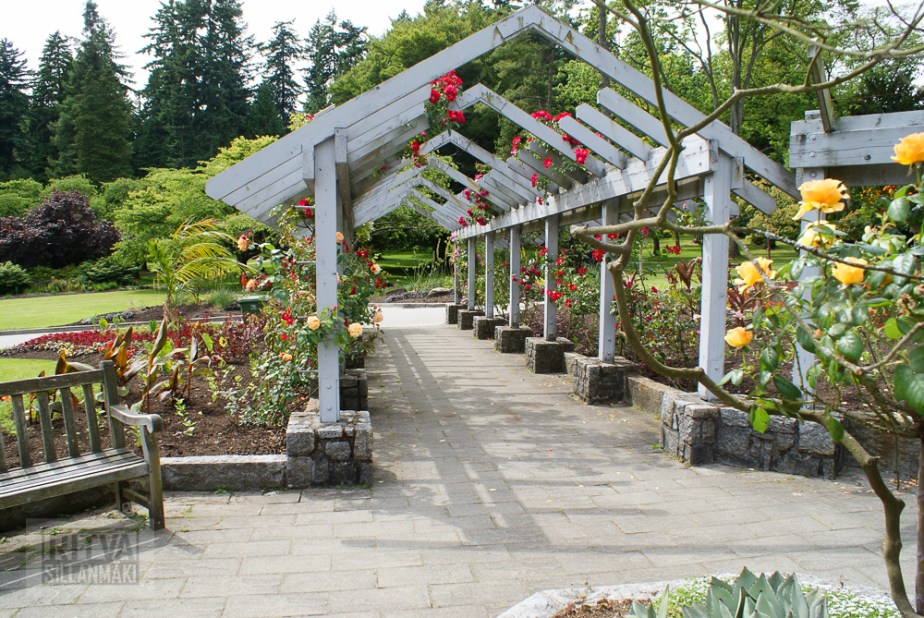 Vancouver, Stanley park-323