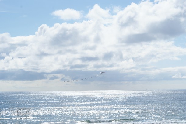 Oregon coastline - one lighthouse-101