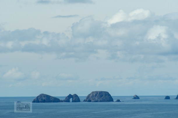 Oregon coastline - one lighthouse-71
