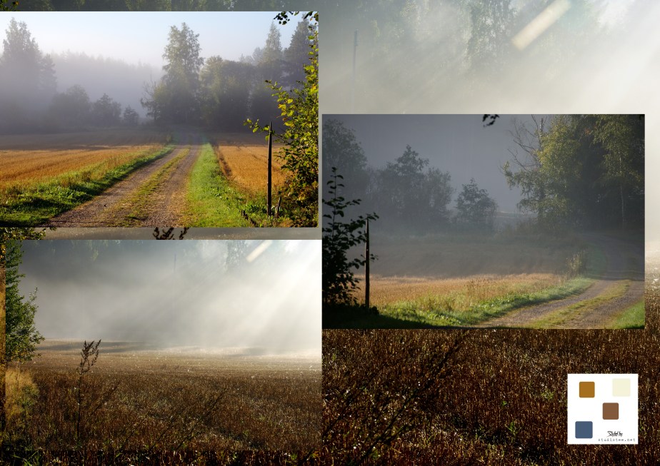 2013-09-07 morning mist