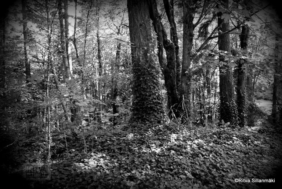 21-Portland Oregon-119