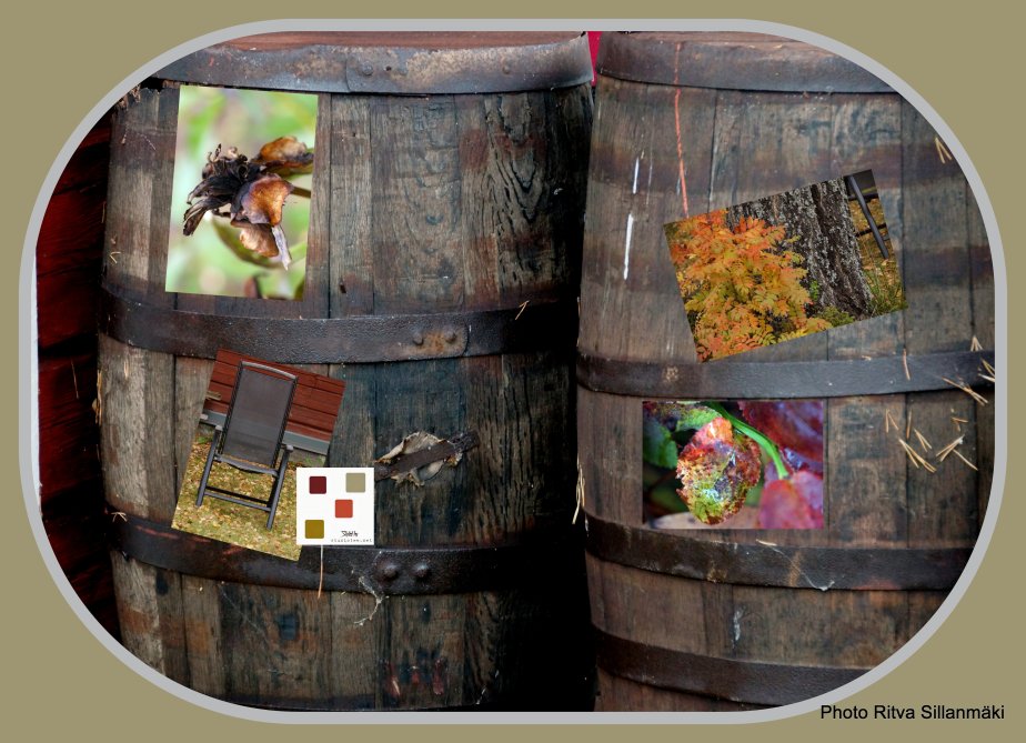 barrelss with photos