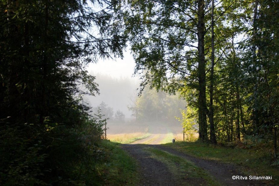 green path with light
