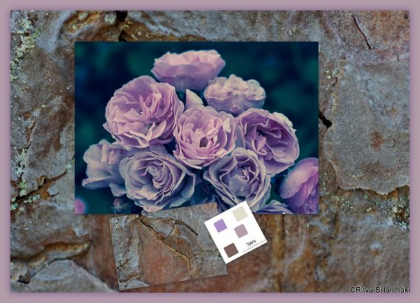 2-2013-8- 18 Ruujijärvi , Oliver, Helsinki, Nastola kirkko4