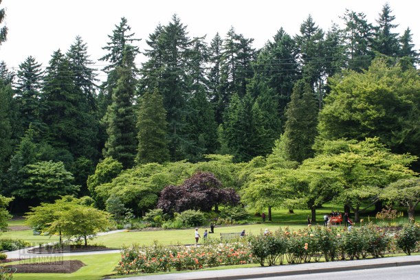 Vancouver, Stanley park-313