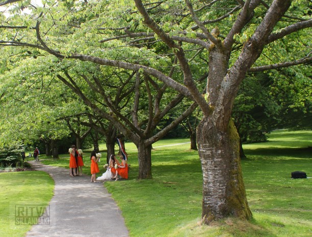 Cancouver, Stanley park-332