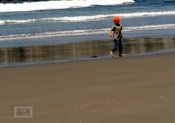 Oregon coastline - beaches-137