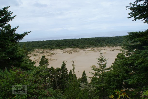 Oregon coastline - beaches-306