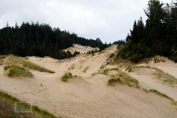 Oregon coastline - beaches-307