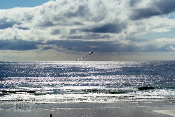 Oregon coastline - one lighthouse-86