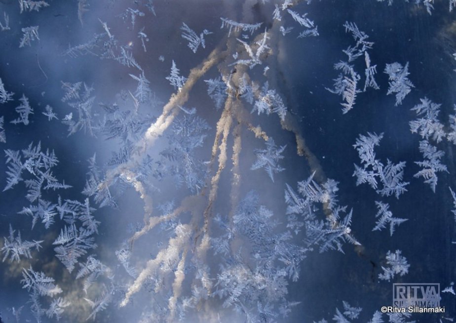 3-2013-1-20 Pinta -talvi1-sign