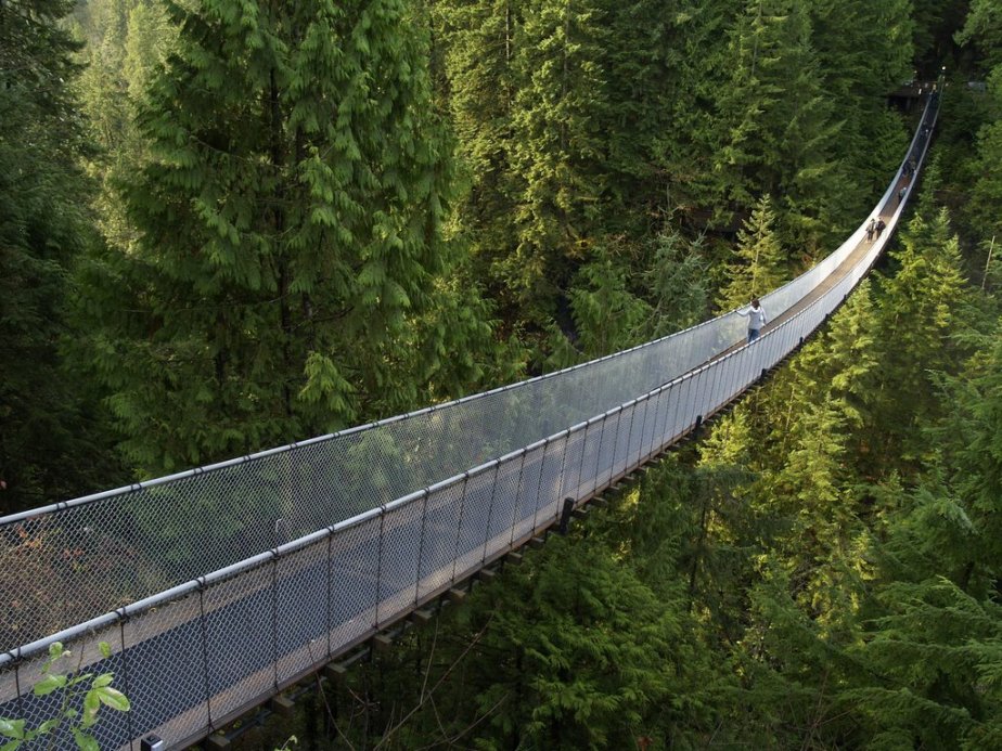 the Thrill of Capilano Suspension&nbsp;Bridge