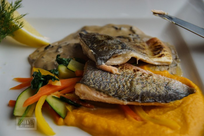 Ritva Sillanmäki-66-2