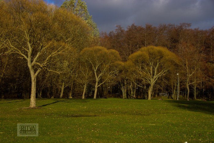 Ritva Sillanmäki -lauttasaari-19