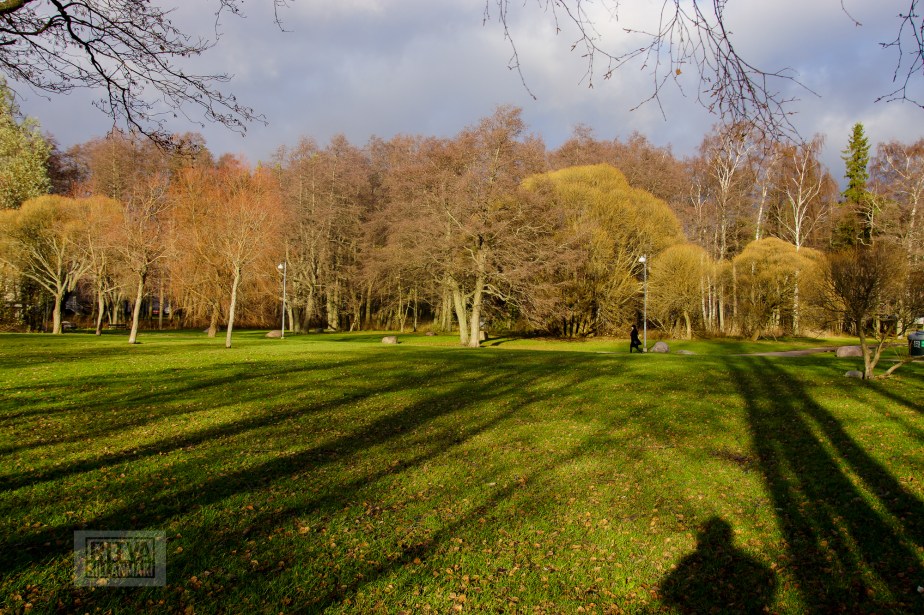 Ritva Sillanmäki -lauttasaari-22