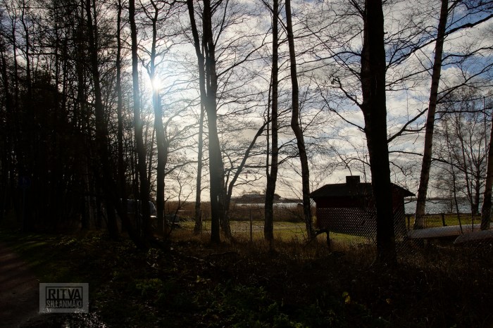 Ritva Sillanmäki -lauttasaari-23